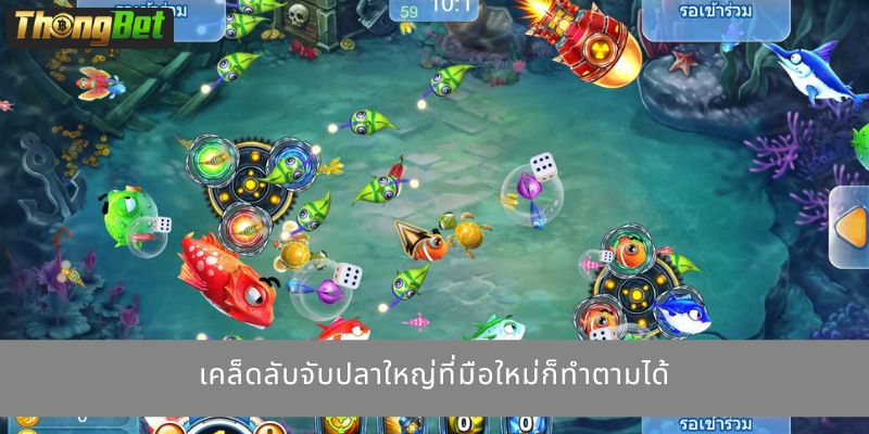 เคล็ดลับจับปลาใหญ่ที่มือใหม่ก็ทำตามได้